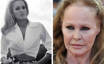 Ursula Andress Shoe Size and Body Measurements